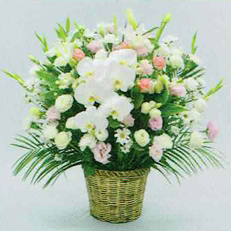 洋花タイプ